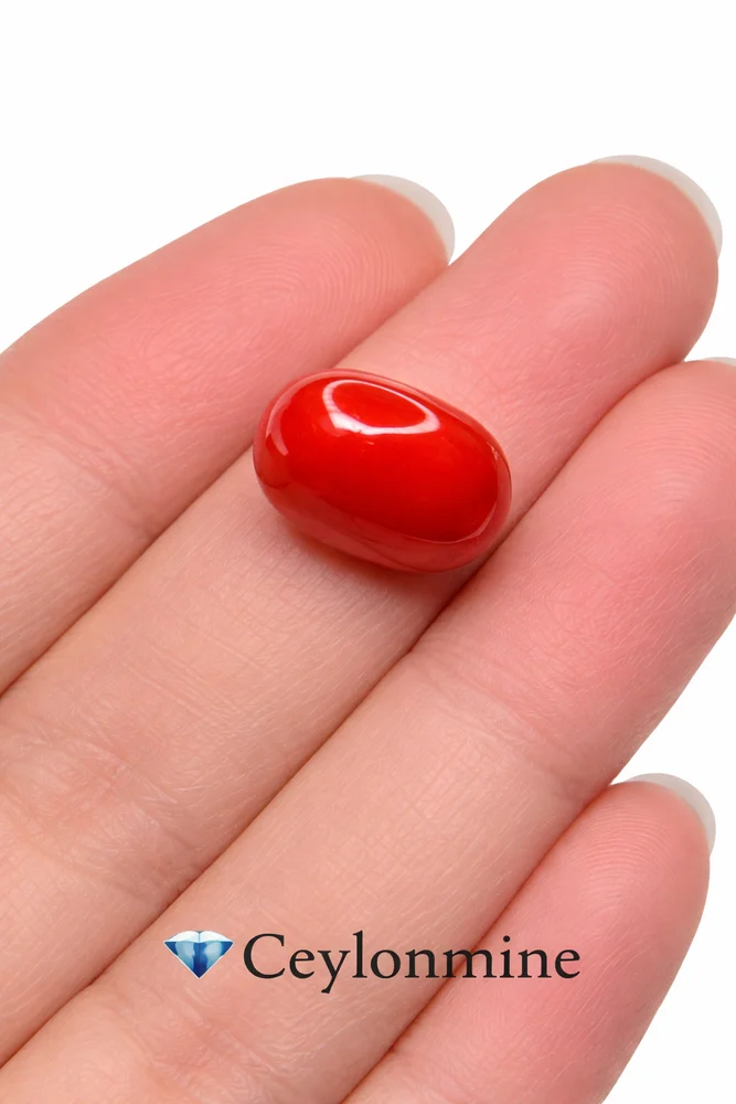 Red Coral Stone (Moonga Stone)