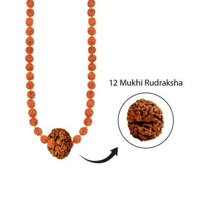 Rudraksha Mala (108 Beads)