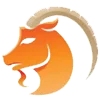 Capricorn zodiac sign